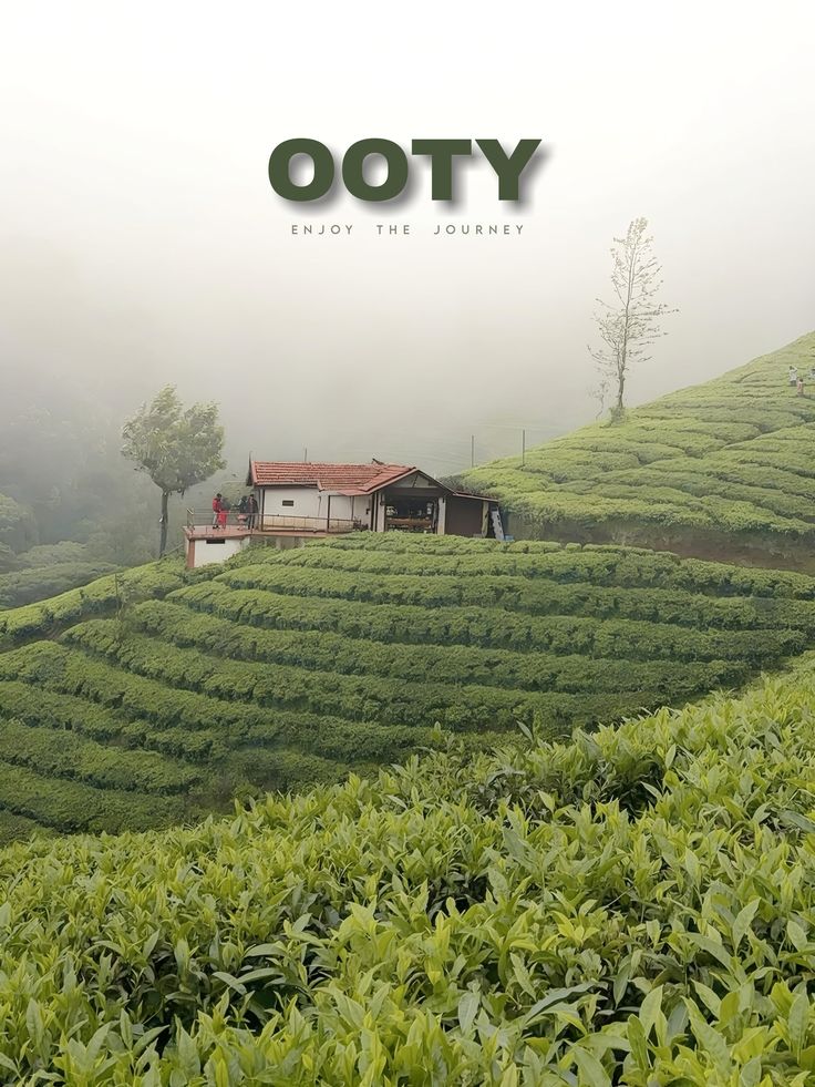 Ooty