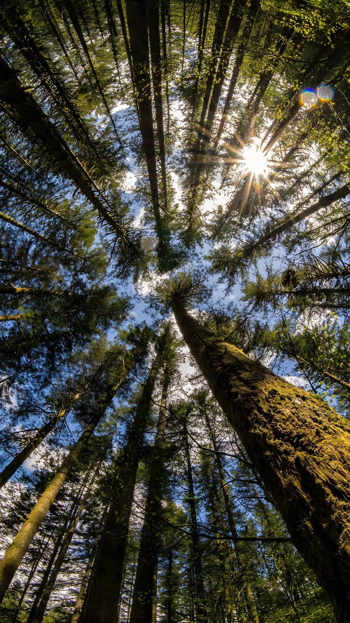 Nightingale Holidays - Luxury Journey