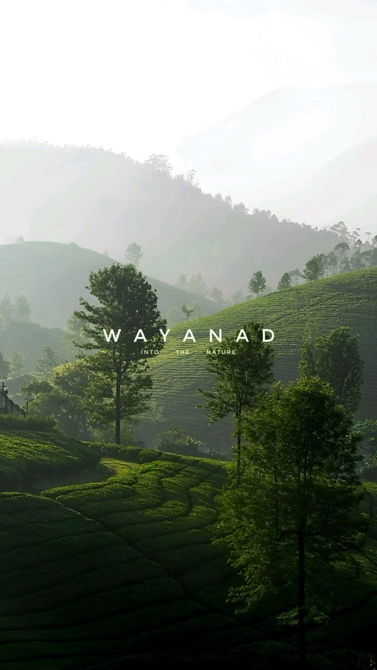 Wayanad Tour Package